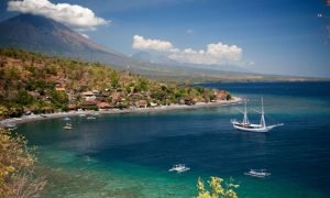 destination_amed