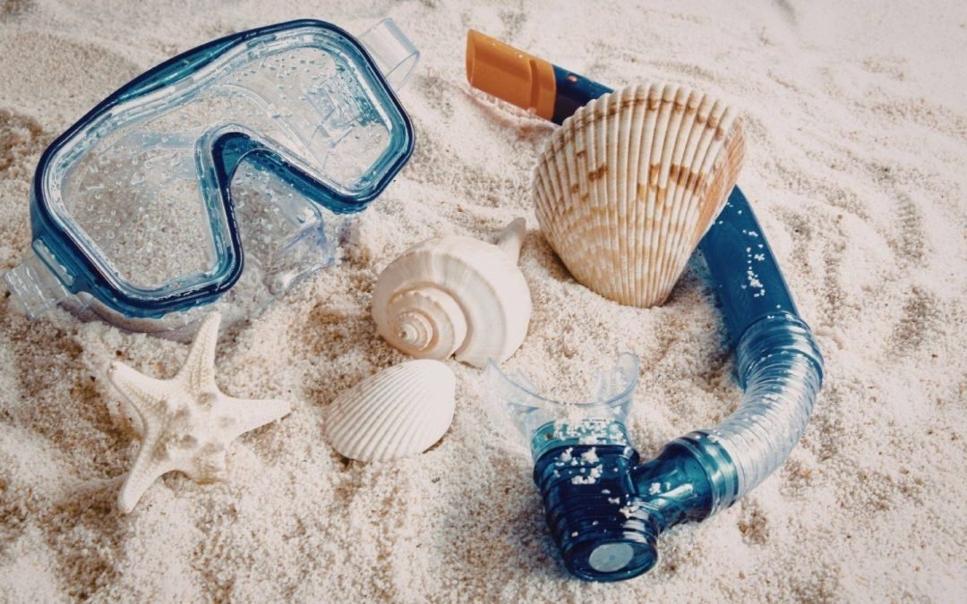 Beach Exploration